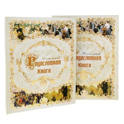 Родословная книга "Книга истоков" 25 х32 см