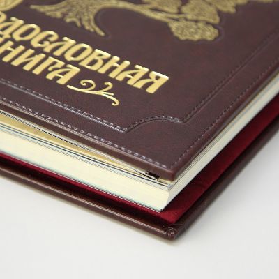 Альбом-книга Родословная "Изысканная" с обложкой из экокожи