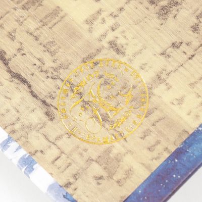 Сейф-книга дерево кожзам "Чайки и море. Золото" 27х18х7 см